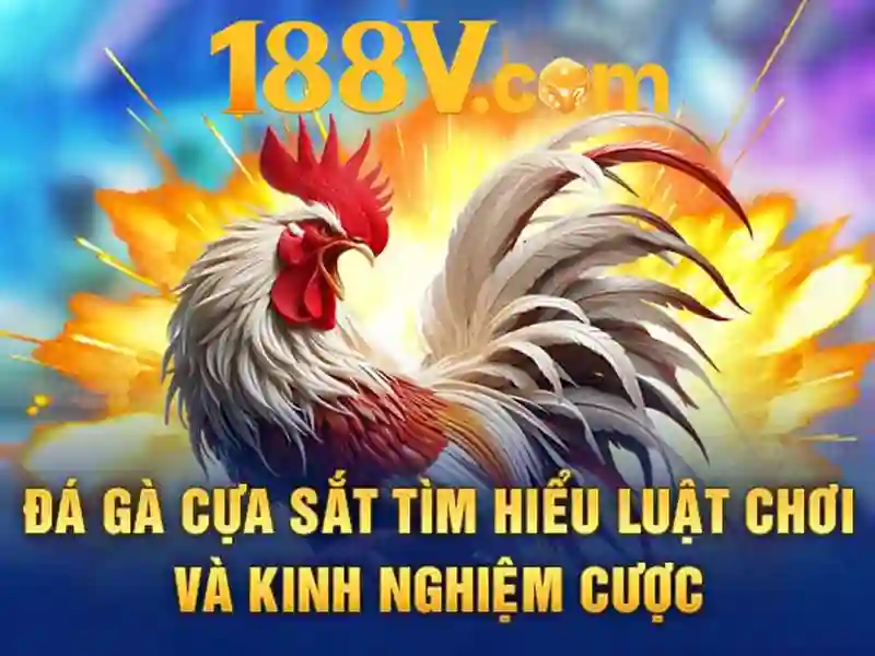 Mẹo chơi bắn cá 3 cây dễ ăn tiền nhà cái