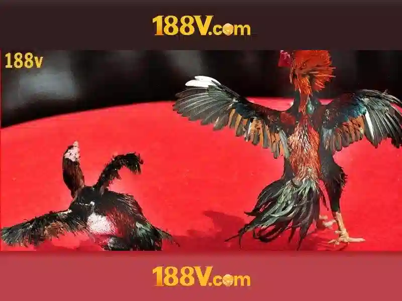 Mẹo chơi bắn cá 3 cây dễ ăn tiền nhà cái