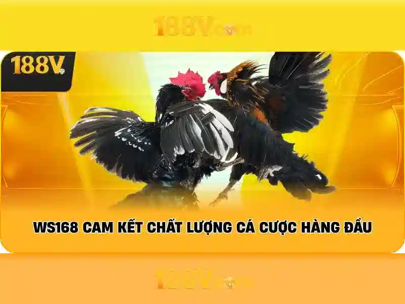 Mẹo chơi bắn cá 3 cây dễ ăn tiền nhà cái