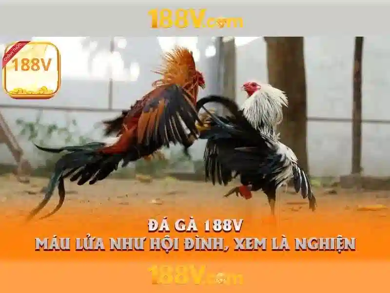 Sản phẩm và dịch vụ cốt lõi: ứng dụng thực tế