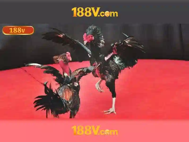 Phat trien tuong lai cua 188v