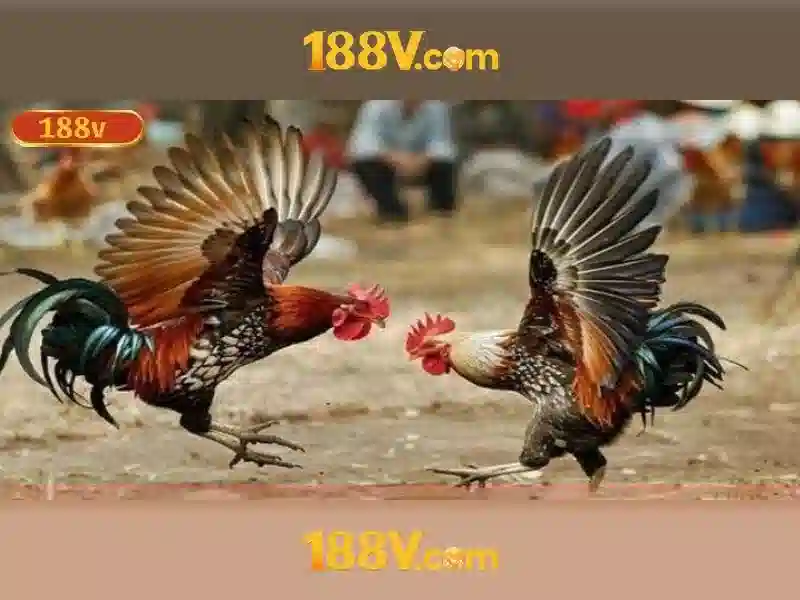 Lợi thế và sức mạnh cạnh tranh