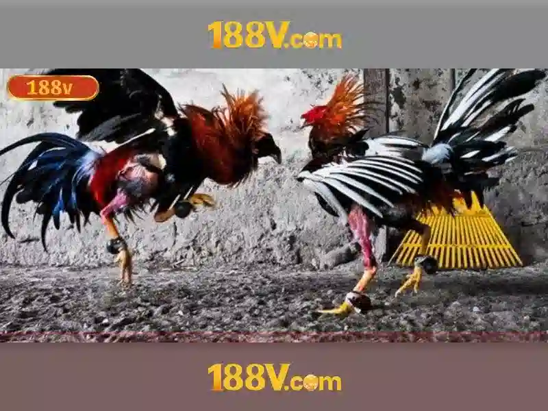 Mẹo chơi bắn cá 3 cây dễ ăn tiền nhà cái