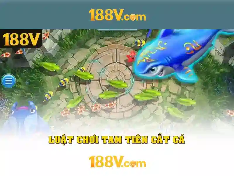 Phát triển và triển vọng tương lai