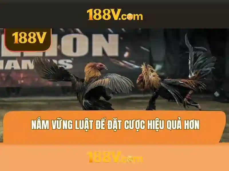 Mẹo chơi bắn cá 3 cây dễ ăn tiền nhà cái