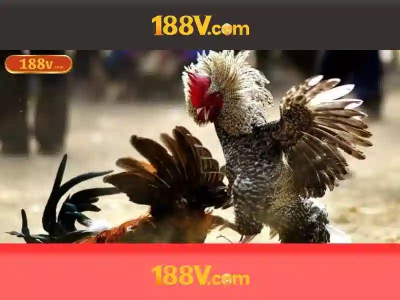 Mẹo chơi bắn cá 3 cây dễ ăn tiền nhà cái