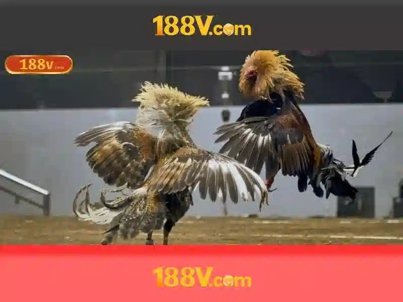 An toàn khi làm việc với 188V\n\n<h>Ứng dụng thực tế và ví dụ</h>\n<p><span style=