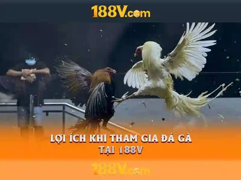 Mẹo chơi bắn cá 3 cây dễ ăn tiền nhà cái