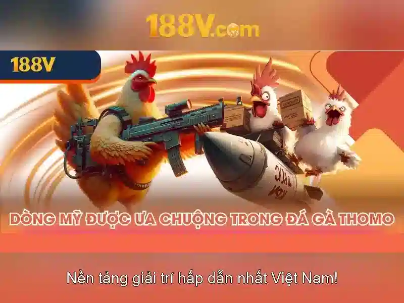 188v link – chủ đề tổng quan và giá trị cốt lõi