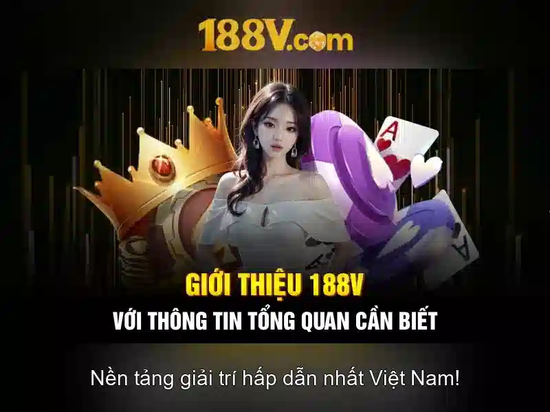 Trải nghiệm người dùng và phản hồi cộng đồng