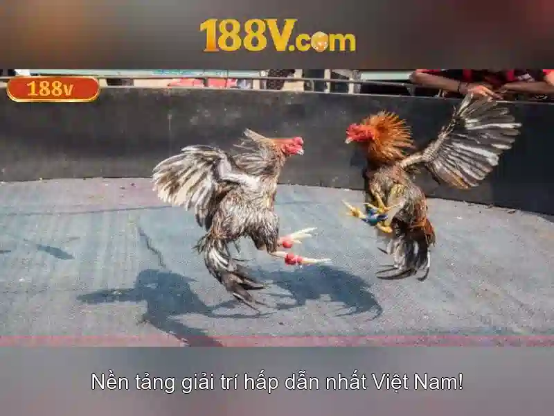 Mẹo chơi bắn cá 3 cây dễ ăn tiền nhà cái