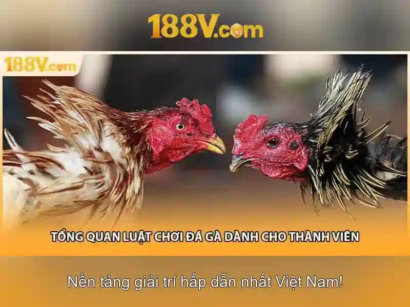 So sánh 188V với các mức điện áp khác