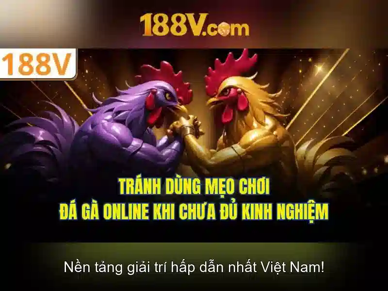 Nguồn gốc và ngữ cảnh
