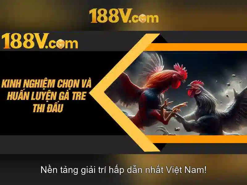 casino 188v - Tong quan chu de va gia tri cot loi