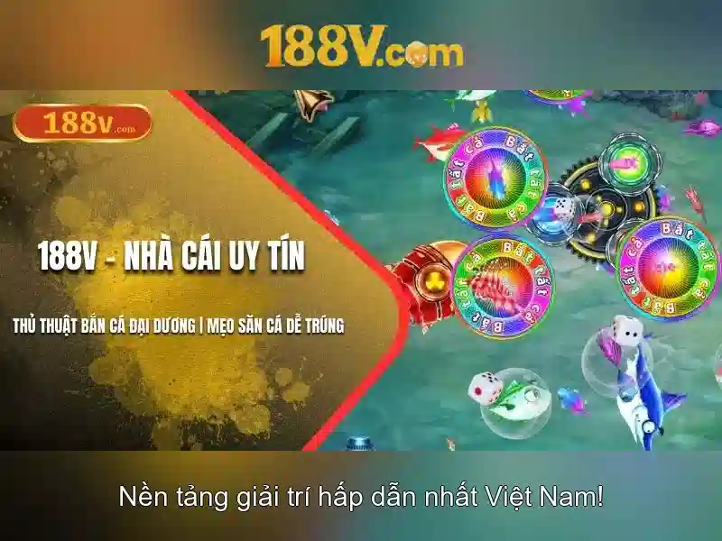 Trải nghiệm người dùng và phản hồi cộng đồng